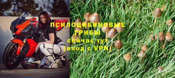 скорость Аркадак