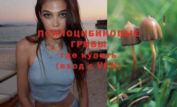 первитин Балахна