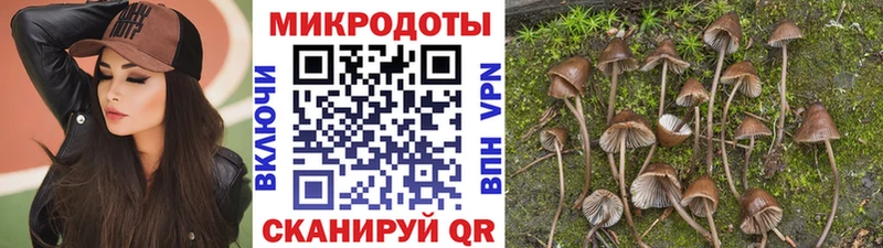 Псилоцибиновые грибы GOLDEN TEACHER  hydra зеркало  Октябрьск 